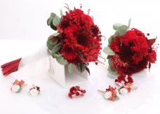 Floristeria Montserrat Sol&agrave; Mas&oacute;