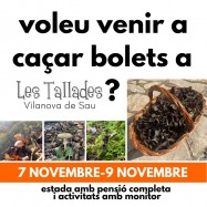 Cap de setmana tardor i bolets