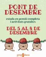 Pont de la Constitució i Puríssima